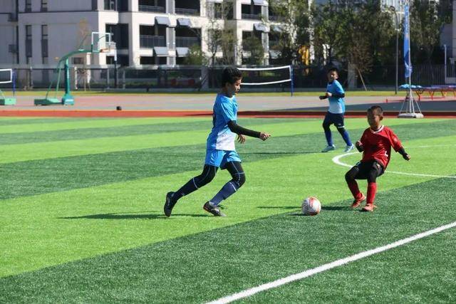 姚明:教练组和球员开始形成化学反应 来之不易